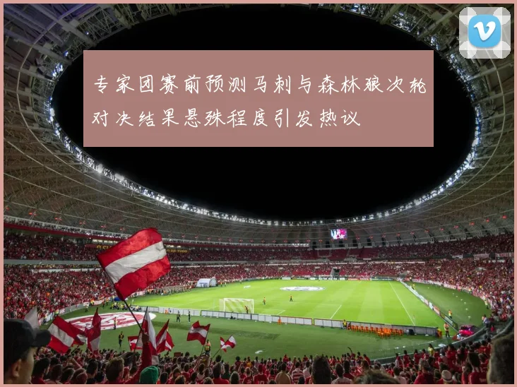 专家团赛前预测马刺与森林狼次轮对决结果悬殊程度引发热议