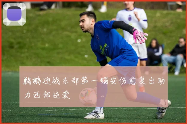 鹈鹕迎战东部第一锡安伤愈复出助力西部逆袭